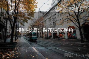 特别报道：探花独家视角