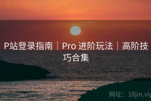 P站登录指南｜Pro 进阶玩法｜高阶技巧合集