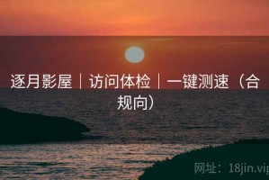 逐月影屋｜访问体检｜一键测速（合规向）