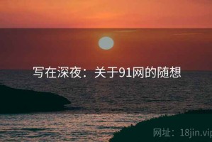 写在深夜：关于91网的随想