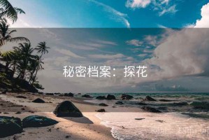 秘密档案：探花