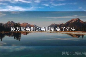 朋友聚会时总会聊到兔子先生