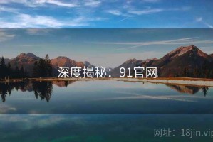深度揭秘：91官网