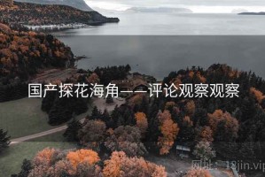国产探花海角——评论观察观察
