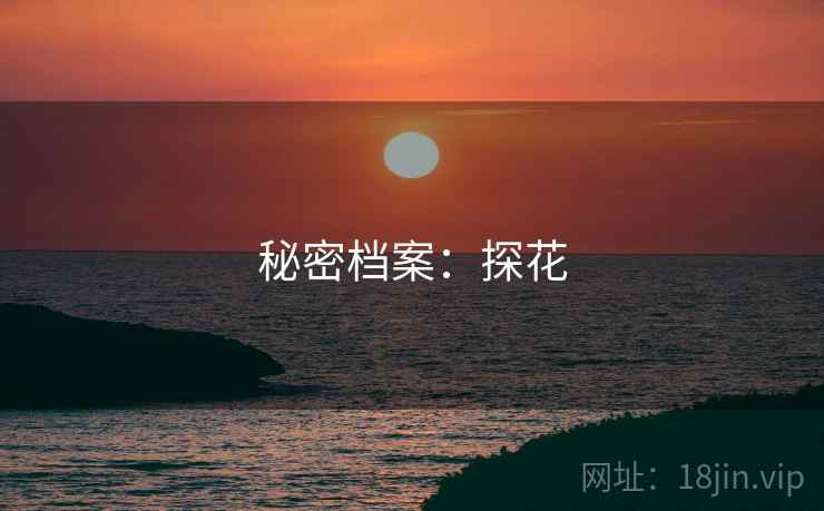 秘密档案：探花