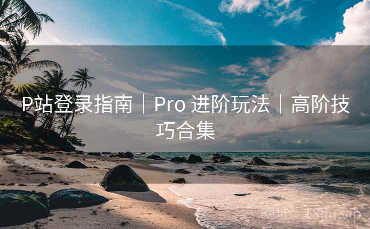 P站登录指南｜Pro 进阶玩法｜高阶技巧合集