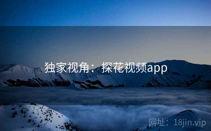 独家视角：探花视频app